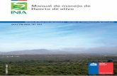 Manual de manejo de Huerto de olivo - INIA