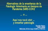Alternativas de la enseñanza de la Patología Veterinaria ...