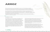 ARROZ - Comunica-t