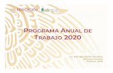 PROGRAMA NUAL DE TRABAJO 2020