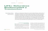 LIFE+ Naturaleza Biodiversidad y Trasmochos