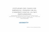 ESTUDIO DE CASO DE MÉXICO: PASOS EN EL CAMINO ... - UN …