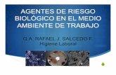 AGENTES DE RIESGO BIOLÓGICO EN EL MEDIO AMBIENTE …