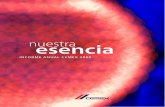 neuessetrancia - Cemex
