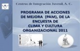 PROGRAMA DE ACCIONES DE MEJORA (PAM), DE LA …