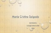 María Cristina Salgado - CMVM
