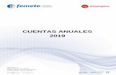 CUENTAS ANUALES 2019 - Femete