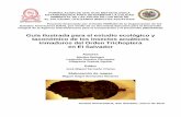 Guía ilustrada para el estudio ecológico y taxonómico de ...