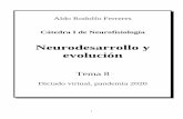 Neurodesarrollo y evolución - UBA