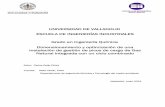 UNIVERSIDAD DE VALLADOLID ESCUELA DE INGENIERÍAS ...