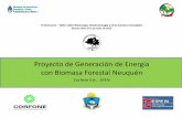 II Seminario Taller sobre Bioenergía, Dendroenergía y ...