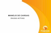 MANEJO DE CARGAS PAUSAS ACTIVAS - UdeA