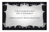 TRATAMIENTO SECUNDARIO PROCESOS BIOLÓGICOS