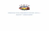 IESTP “CHOCOPE” PROYECTOS PRODUCTIVOS 2016