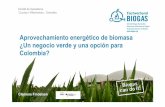 Aprovechamiento energético de biomasa ¿Un negocio verde y ...