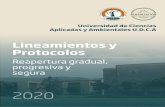 Lineamientos y Protocolos - Universidad de Ciencias ...