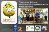 Proyecto de Sistemas Silvopastoriles y Reforestación de ...