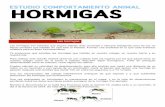 HORMIGAS - Gobierno de Canarias