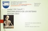 Unidad I ANATOMIA BÁSICA DE LOS SISTEMAS SISTEMA ÓSEO