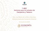 T-MEC Sesiones para los estados de Campeche y Tabasco