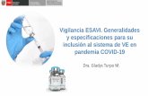 Vigilancia ESAVI. Generalidades y especificaciones para su ...