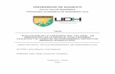 UNIVERSIDAD DE HUANUCO - Repositorio Institucional