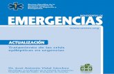 Revista Científica de la EMERGENCMONOGRAFÍAS DEIAS