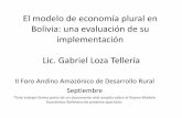 El modelo de economía plural en Bolivia: una evaluación de ...
