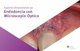 Experto Universitario en Endodoncia con Microscopio Óptico