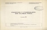 PASTOS Y FORRAJES DE CLIMA FRIO 3 - SENA