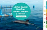 Aplica Buenas Prácticas: cultivos marinos y cetáceos