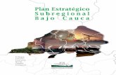 Plan Estratégico Subregional Bajo Cauca
