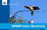 Publicación informativa digital sobre el trabajo de WWF en ...