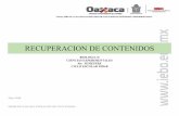 RECUPERACION DE CONTENIDOS - Instituto De Estudios De ...