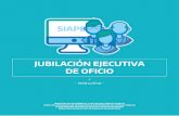 JUBILACIÓN EJECUTIVA DE OFICIO - Provincia de Buenos Aires