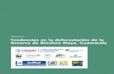 2000-2013 Tendencias en la deforestación de la Reserva de ...