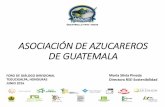 ASOCIACIÓN DE AZUCAREROS DE GUATEMALA