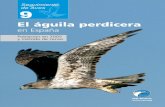 El águila perdicera en España. Población en 2005 y método ...