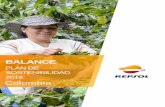 2019 Plan de sostenibilidad e informe de cierre Colombia