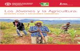 Los Jóvenes y la Agricultura - ifad.org