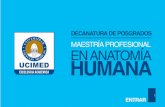 La Maestría Profesional en Anatomía Humana se imparte en ...