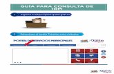 GUÍA PARA CONSULTA DE IRM - PAM Portal de Servicios ...