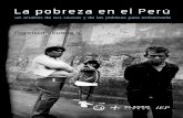 La pobreza en el Perú : un análisis de sus causas y de las ...