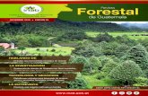 Revista Forestal de Guatemala - Instituto Nacional de Bosques