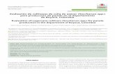 Evaluación de cultivares de caña de azúcar (Saccharum spp ...