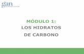 MÓDULO 1: LOS HIDRATOS DE CARBONO