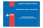Mercado de Aguas y Agricultura - Universidad del Desarrollo