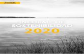 INFORME DE SOSTENIBILIDAD 2020