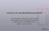 CURSO DE NEUROMANAGEMENT