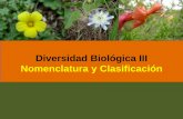 Diversidad Biológica III Nomenclatura y Clasificación